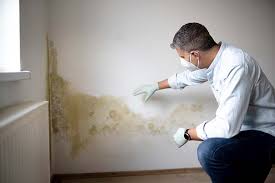 Reliable Southport, NC Mold Prevention & Removal  Solutions